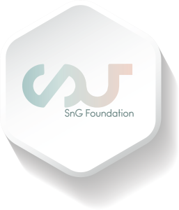 WellForm Triangle InfoChart Icon 2024 SnG Logo Symbol